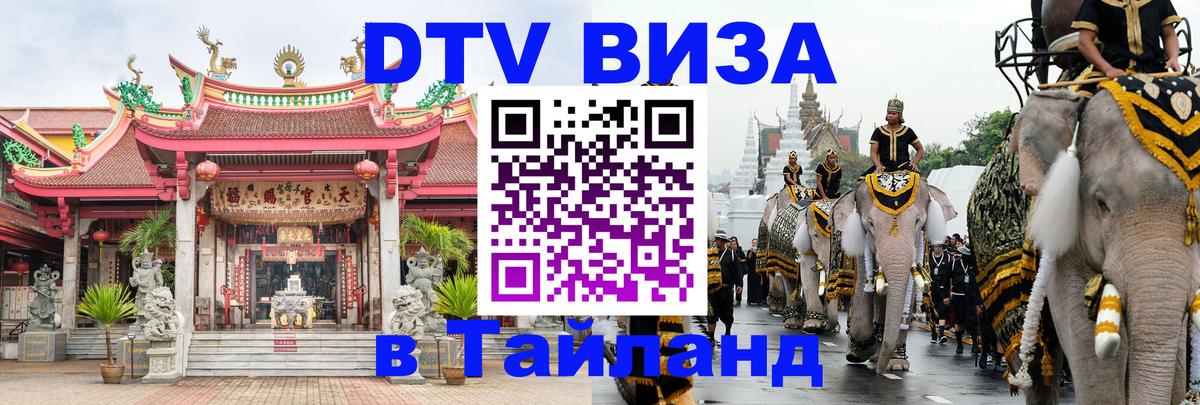 Сколько стоит DTV виза — актуальные цены, оформление даже без документов - Новошахтинск  08.01.2026 